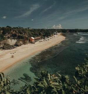a beach with a group of people and the ocean