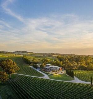 Letecký pohled na dům ve vinici