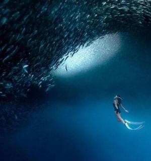 um homem pegando uma onda em uma prancha de surfe no oceano