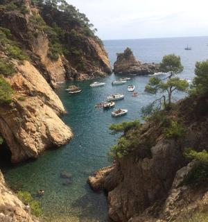 两座悬崖之间的河流中的一群船