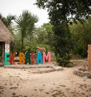 操场前写着“bash”的标志