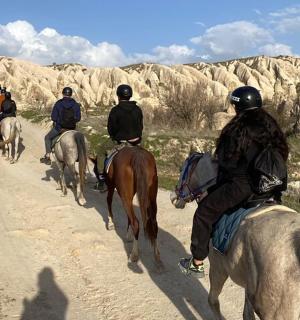 eine Gruppe von Menschen reitet auf Pferden einen Feldweg entlang