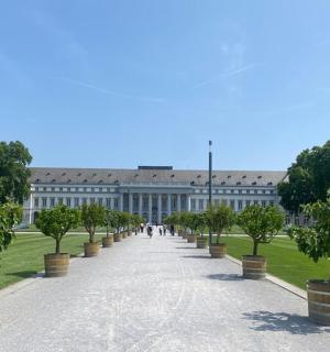 建筑物前的一排树