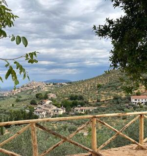 a view of a town on a hill