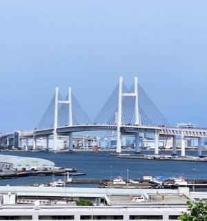 一座横跨水面的白色大桥，桥上还有建筑物