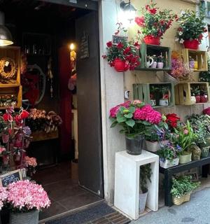 墙上摆满盆栽的花店