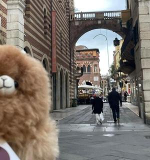 城市街道上的一只毛绒泰迪熊