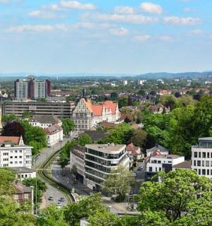 有建筑物和树木的城市景观