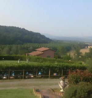 a garden with a fire hydrant in the grass