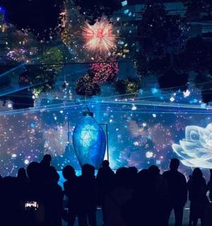 a crowd of people standing in front of a stage with fireworks