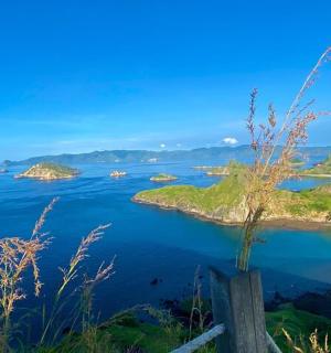 a view of a body of water with a small island