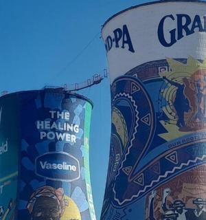 两瓶酒并排摆放