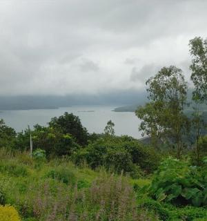 从田野上看到的一大片水域