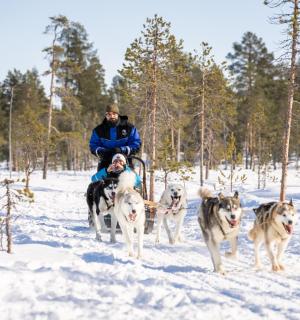 一名男子在雪地里被四条狗拖着