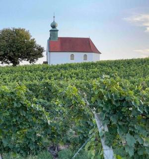 un edifici blanc al cim d'un turó amb una vinya