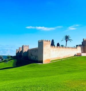 山上的城堡,绿地环绕