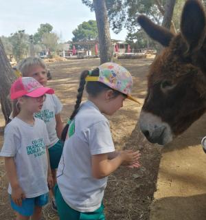 一群孩子站在一头驴旁边