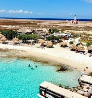 a beach with umbrellas and people in the water