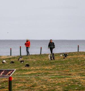 一群人站在田野上,周围有鸟儿
