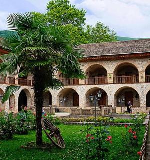 建筑物庭院里的一棵棕榈树