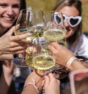 skupina lidí držících sklenice na víno