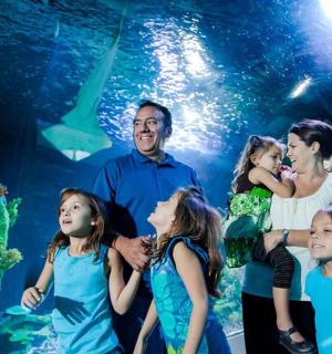 a group of children standing in front of a aquarium