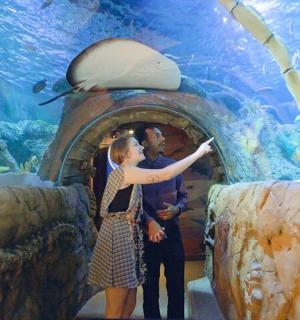 a man and a woman standing in front of an aquarium