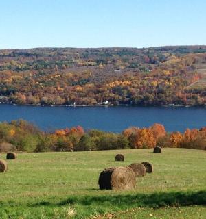 a field with hay bales in a field with a lake