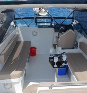 um barco com dois assentos e uma vaca nele