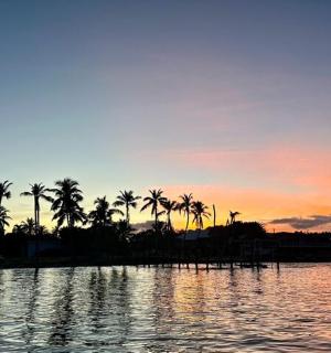 棕榈树环绕的水域上空的日落