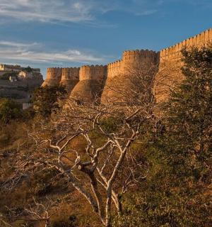 a castle on top of a hill with trees