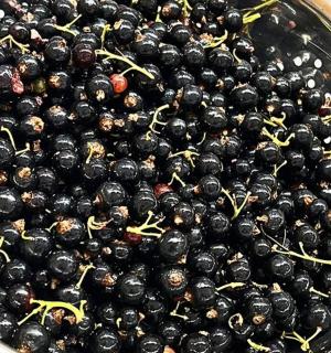 a large bowl of blackberries sitting on a table