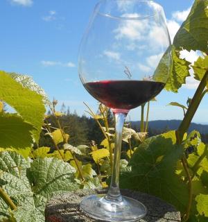 a glass of red wine sitting on a rock