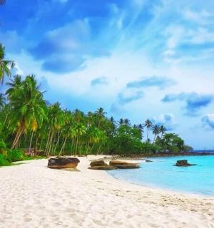 a beach with palm trees and blue water
