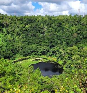 an aerial view of a lush green forest with a pond