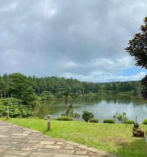 a lake in the middle of a park