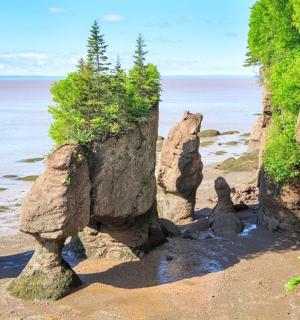 靠近水边的海滩上的一组岩石