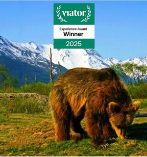 两只棕熊在一块标志牌旁的田野里吃草