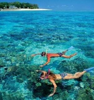 two people are swimming in the clear water