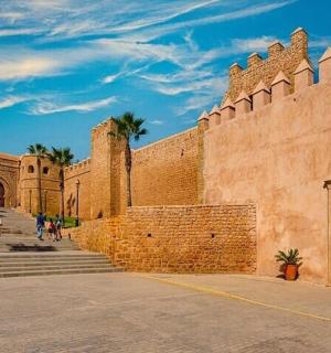 budova se schody a zdí s palmami