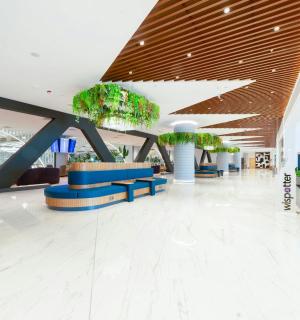 建筑物内摆放着椅子和盆栽的大厅