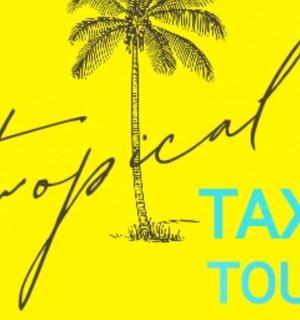a palm tree on a yellow background with the words urgent tax tour