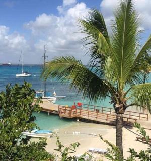 沙滩上的一棵棕榈树,水中有船