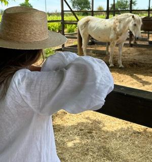 a woman in a hat looking at a horse