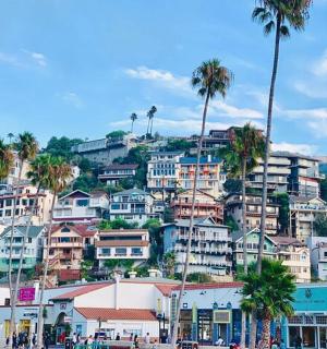 město na kopci s palmami a domy