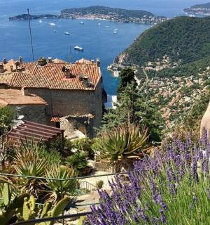 a view of the amalfi coast with purple flowers