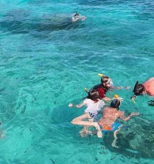 a group of people swimming in the water