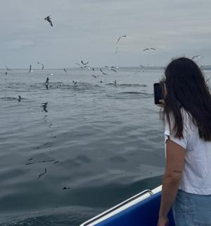 两名女子正在拍摄水中的鸟类