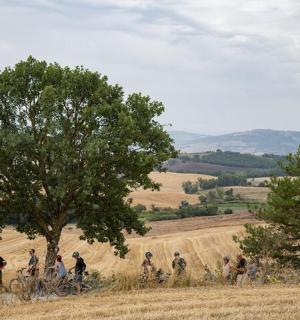a group of people riding bikes in a field