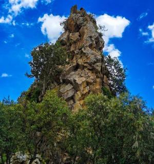 vysoký skalní útvar sedící na vrcholcích stromů